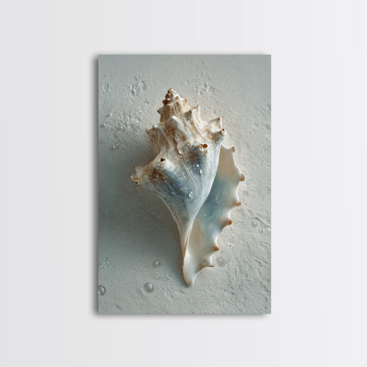 Minimal Seashell Still Life on Pale Sand Canvas Print, Bathroom Art, Modern Wall Art, Bathroom Decor, Abstract Art, Spa, BAT-2x3-11