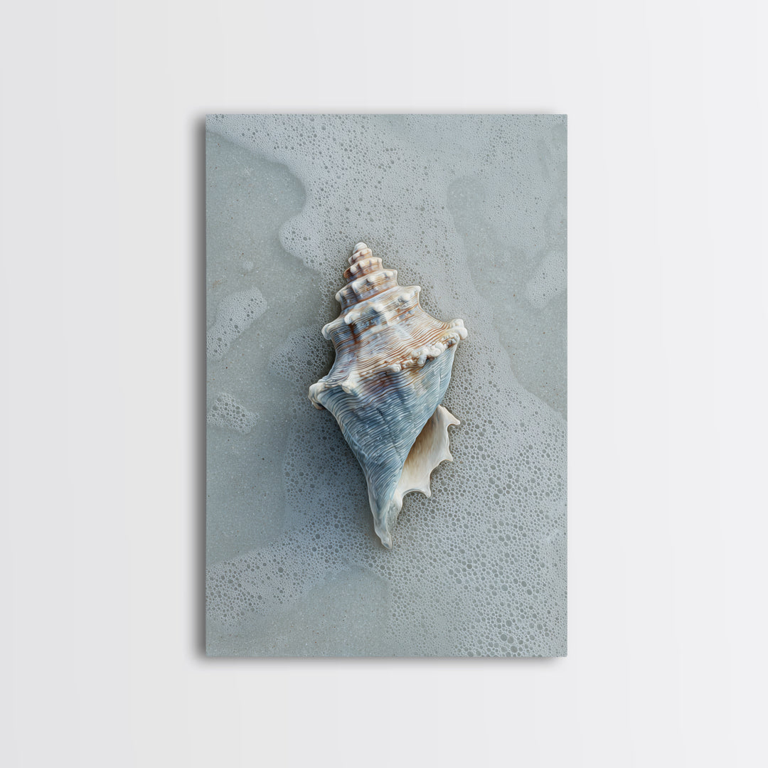 Minimal Seashell Still Life on Pale Sand Framed Canvas Print, Bathroom Art, Digital Art, Bathroom Decor, Abstract Art, Spa, BAT-2x3-83