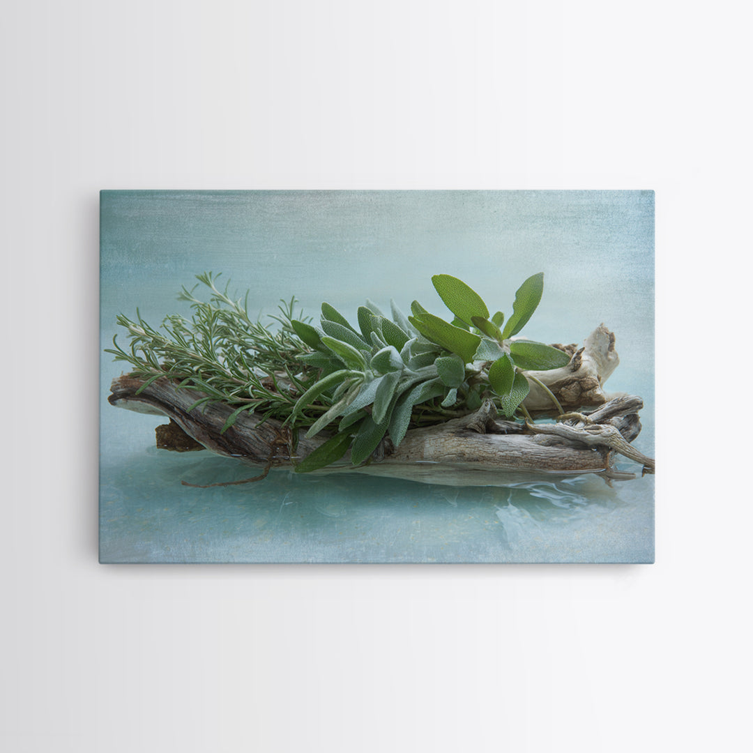 Botanical Bath Herb Arrangement Canvas Print, Bathroom Art, Bathroom Decor, Fine Art, Spa, Bathroom Accessories, Modern Art, BAT-3x2-21