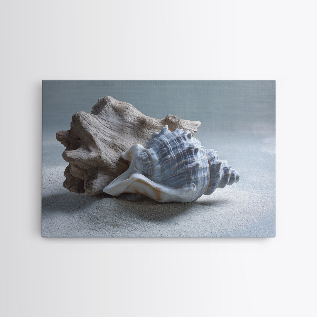 Minimal Seashell Still Life on Pale Sand Framed Canvas Print, Bathroom Art, Canvas Wall Art, Bathroom Decor, Fine Art, Spa, BAT-3x2-31