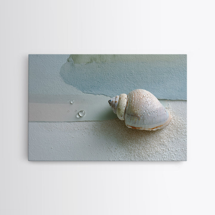 Minimal Seashell Still Life on Pale Sand Framed Canvas Print, Bathroom Art, Statement Artwork, Bathroom Decor, Abstract Art, BAT-3x2-7