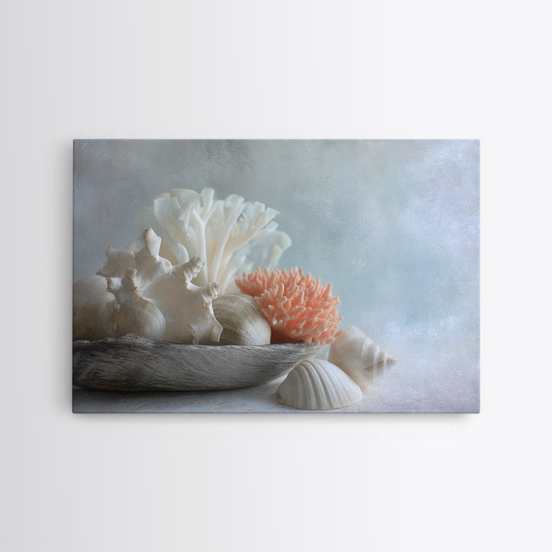 Coral and Shell Arrangement Framed Canvas Print, Bathroom Art, Bathroom Accessories, Bathroom Decor, Spa, Fine Art Print, BAT-3x2-87
