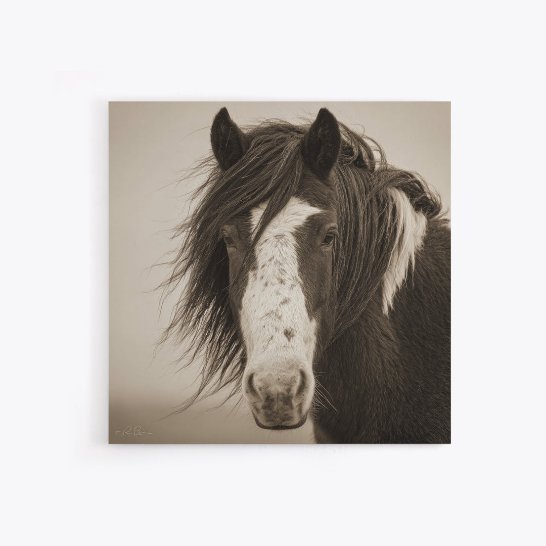 Black and White Wild Horse Portrait Framed Canvas Print, Black and White Art, Textured Painting, Living Room Decor, Monochrome, BAW-1x1-53