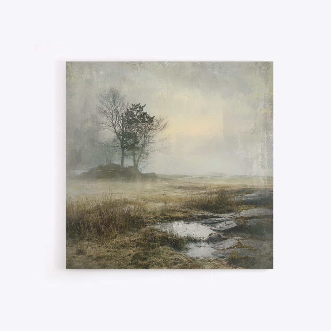 Moody Foggy Forest Framed Canvas Print, Black and White Art, Boho Decor, Living Room Decor, Monochrome, Halloween Decor, BAW-1x1-79