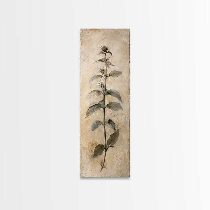 Black and White Botanical Specimen Plate Canvas Print, Black and White Art, Canvas Print, Living Room Decor, Oil Painting, BAW-1x3-59