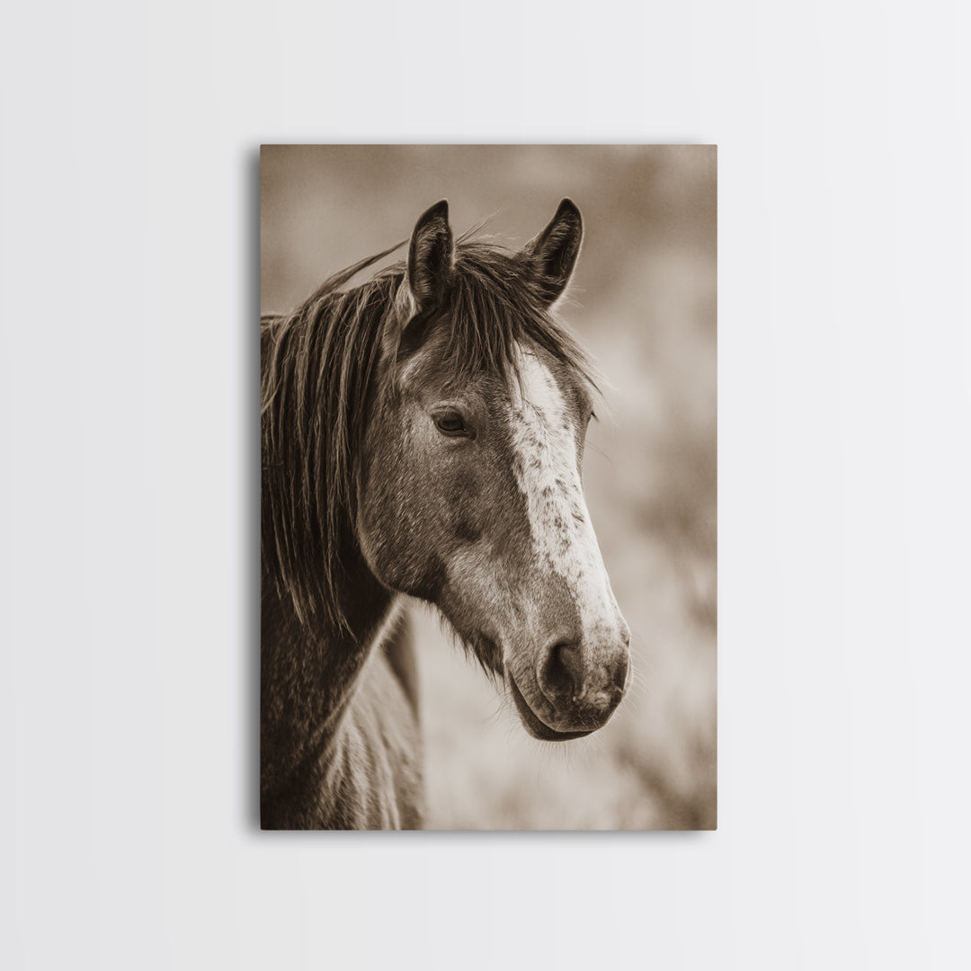 Black and White Wild Horse Portrait Framed Canvas Print, Black and White Art, Canvas Print, Living Room Decor, Monochrome, BAW-2x3-85