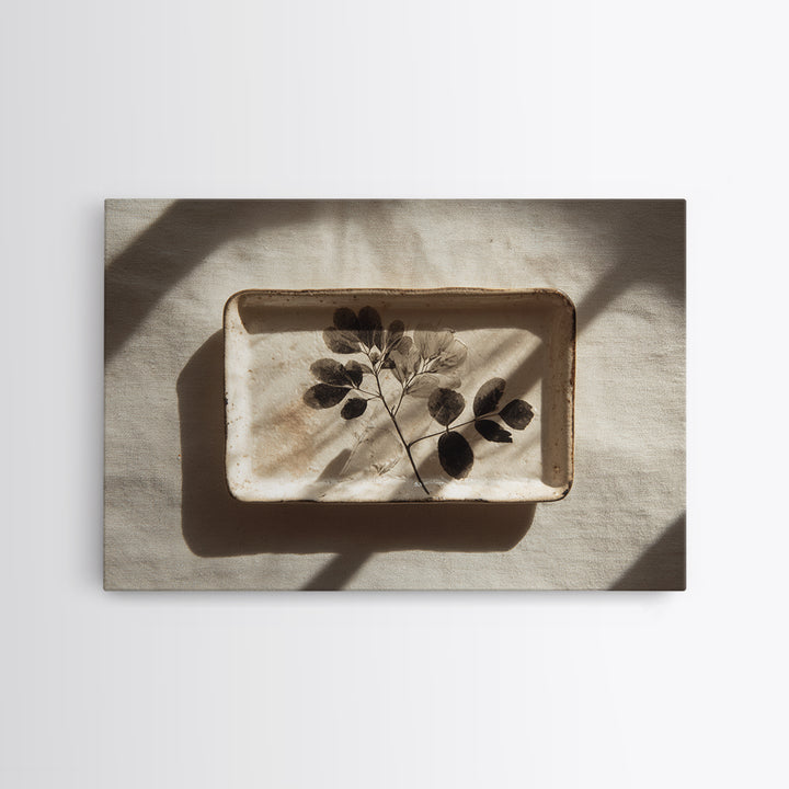 Black and White Botanical Specimen Plate Canvas Print, Black and White Art, Photography Prints, Living Room Decor, Monochrome, BAW-3x2-3