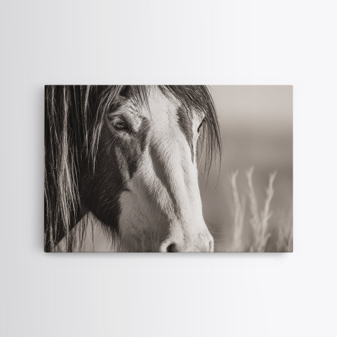 Black and White Wild Horse Portrait Canvas Print, Black and White Art, Fine Art Print, Living Room Decor, Monochrome, BAW-3x2-81