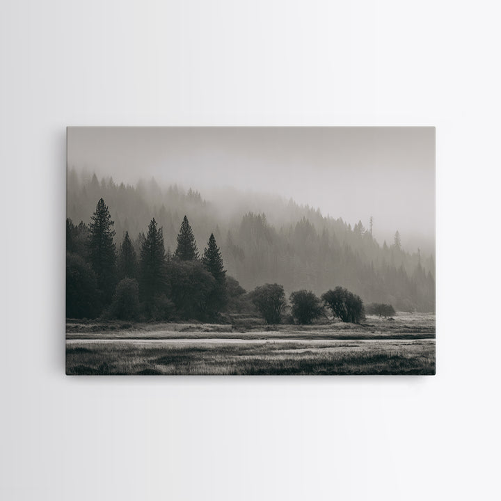 Moody Foggy Forest Canvas Print, Black and White Art, Gothic Decor, Living Room Decor, Oil Painting, Monochrome, BAW-3x2-83