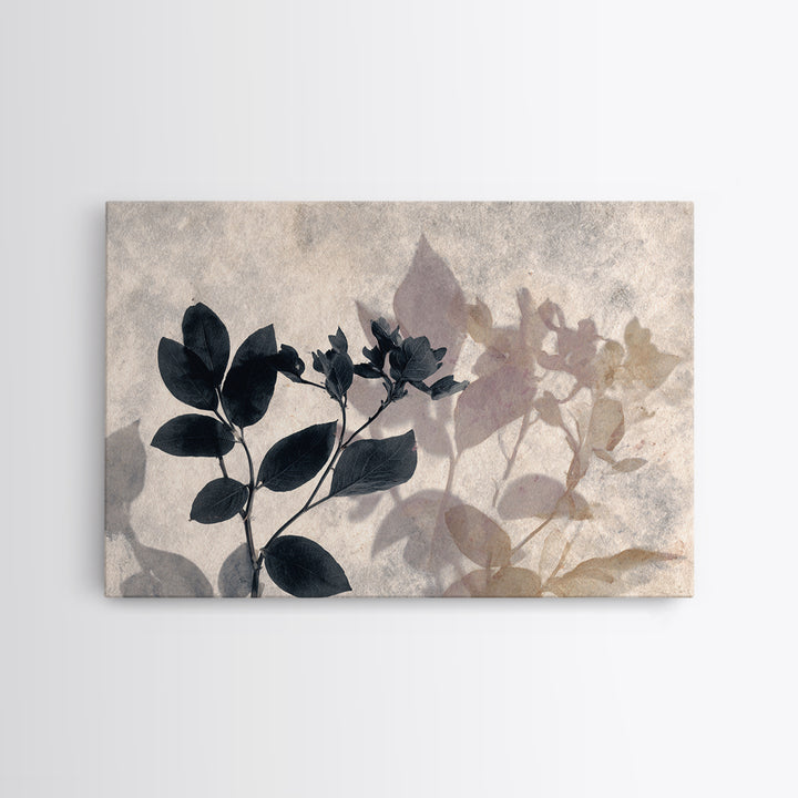Black and White Botanical Specimen Plate Canvas Print, Black and White Art, Printable Wall Art, Living Room Decor, Monochrome, BAW-3x2-99