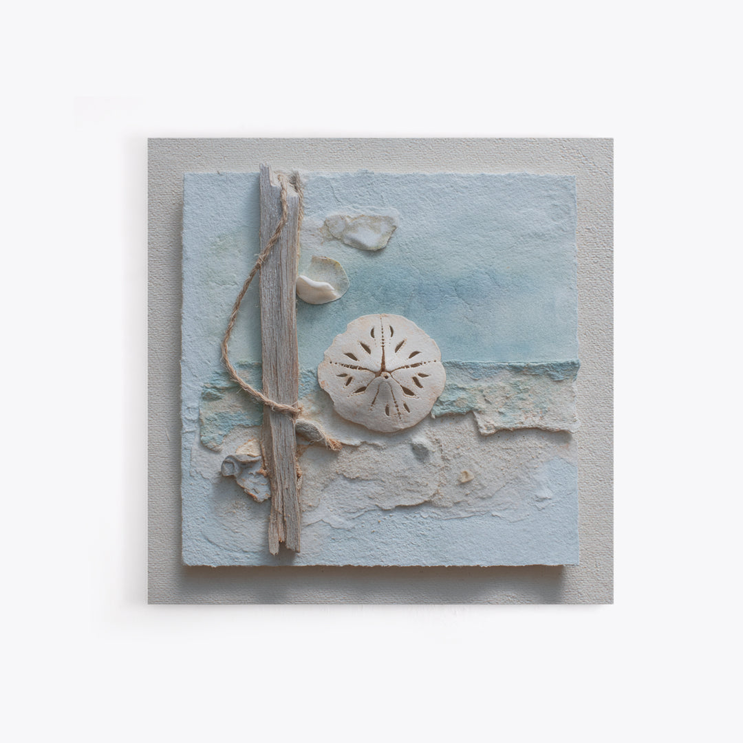 Minimal Sand Dollar Study on Textured Paper Framed Canvas Print, Beach Art, Wall Decor, Coastal Decor, Fine Art, Shore, BEA-1x1-12