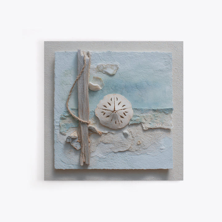 Minimal Sand Dollar Study on Textured Paper Framed Canvas Print, Beach Art, Wall Decor, Coastal Decor, Fine Art, Shore, BEA-1x1-12