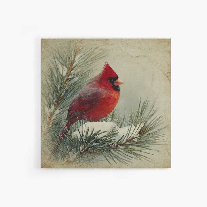 Red Cardinal on Snowy Pine Branch Framed Canvas Print, Bird Art, Nature Wall Art, Living Room Decor, Watercolor Art, Flight, BIR-1x1-1