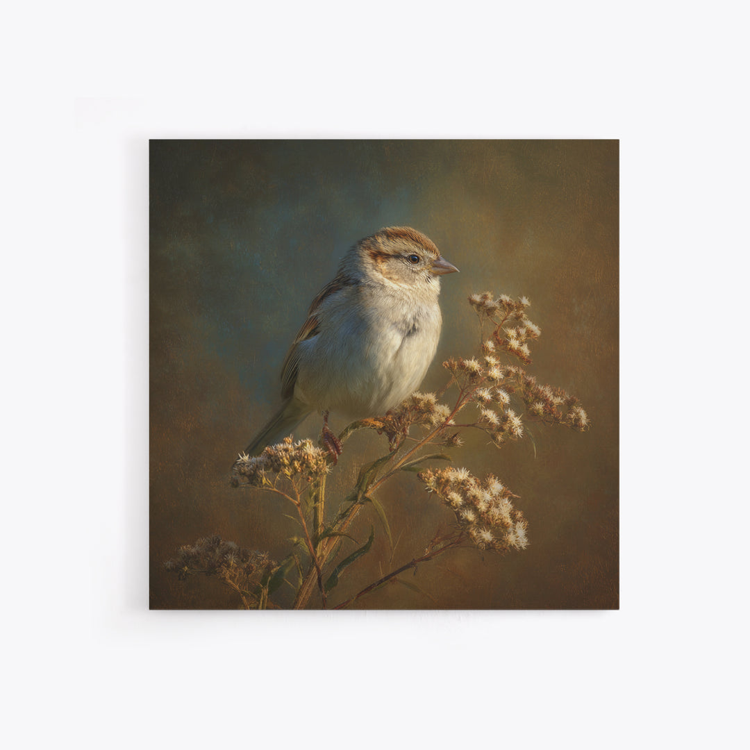Small Sparrow on Wildflower Stem Canvas Print, Bird Art, Mid Century Wall Art, Living Room Decor, Flight, Fine Art Print, BIR-1x1-14