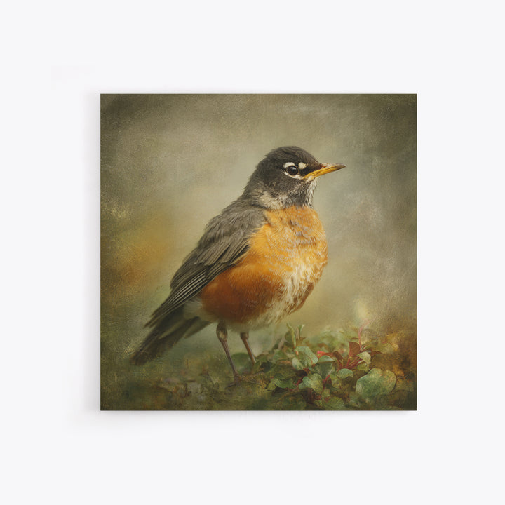 Robin in a Spring Garden with Soft Canvas Print, Bird Art, Japanese Wall Art, Living Room Decor, Watercolor Art, Flight, BIR-1x1-15
