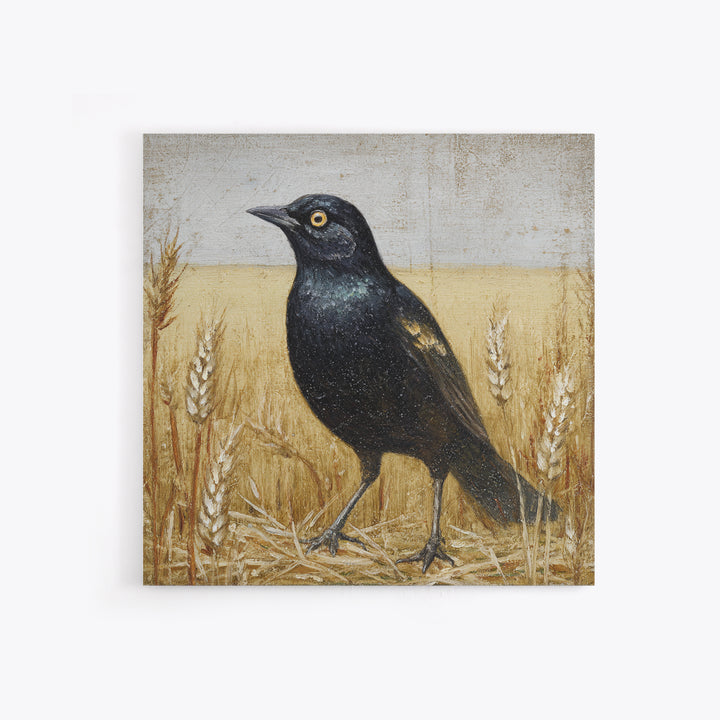 Blackbird on Gold Wheat Field Framed Canvas Print, Bird Art, Nature Prints, Living Room Decor, Watercolor Art, Flight, BIR-1x1-24