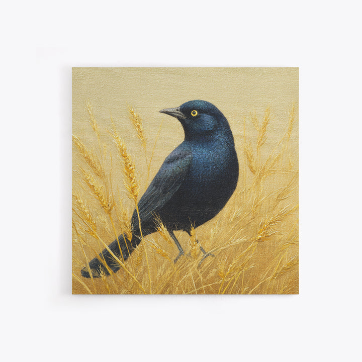 Blackbird on Gold Wheat Field Framed Canvas Print, Bird Art, Wall Decor, Living Room Decor, Fine Art, Flight, Boho Wall Decor, BIR-1x1-48