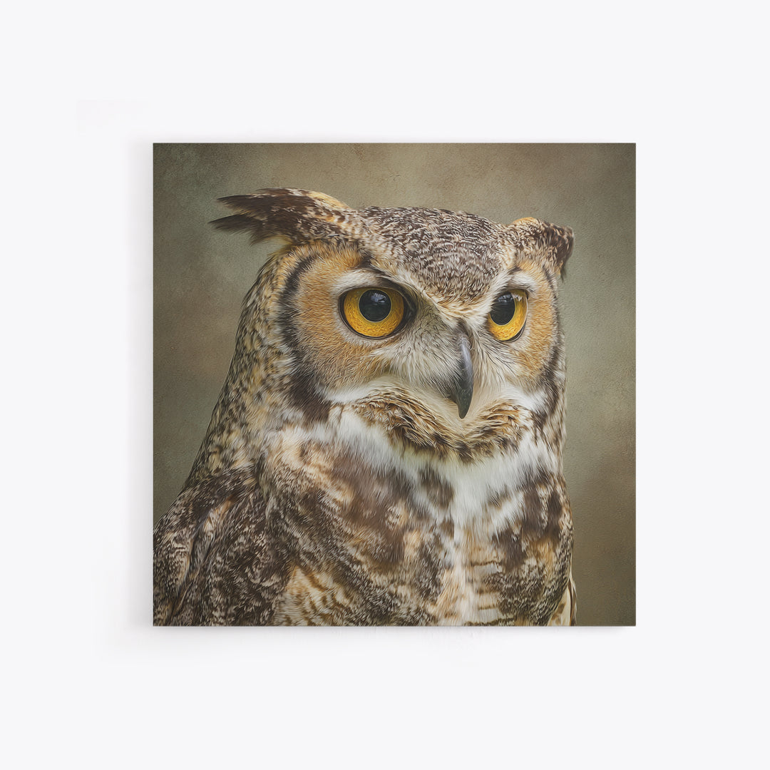 Owl Portrait with Wise Golden Eyes Framed Canvas Print, Bird Art, Fine Art Print, Living Room Decor, Fine Art, Flight, BIR-1x1-53