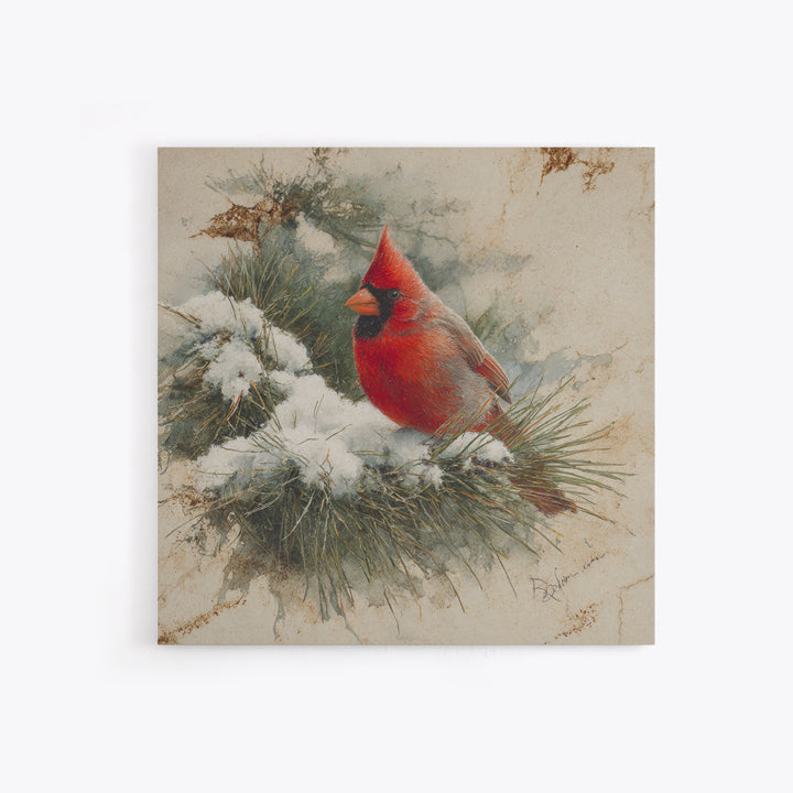 Red Cardinal on Snowy Pine Branch Framed Canvas Print, Bird Art, Art Print, Living Room Decor, Fine Art, Flight, Original Art, BIR-1x1-73