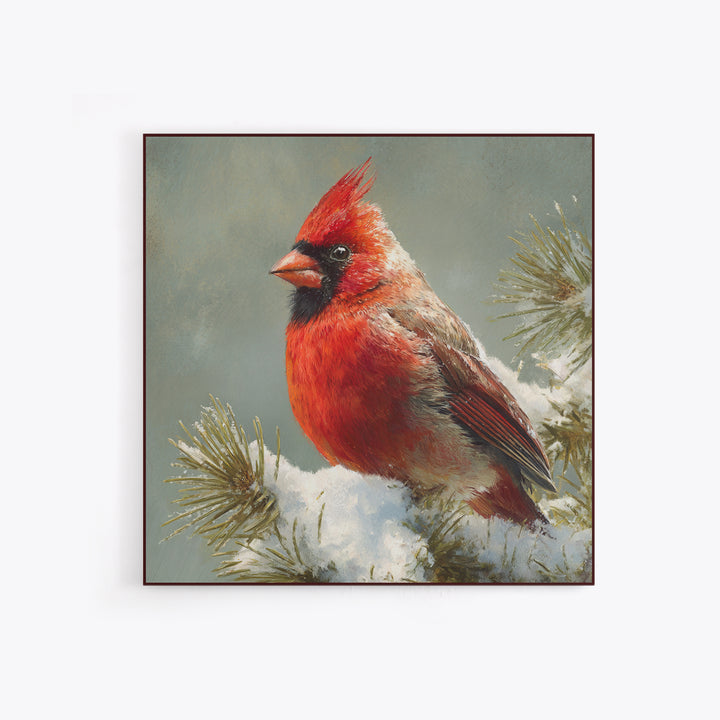 Red Cardinal on Snowy Pine Branch Canvas Print, Bird Art, Wall Art, Living Room Decor, Fine Art, Flight, Japanese Wall Art, BIR-1x1-97