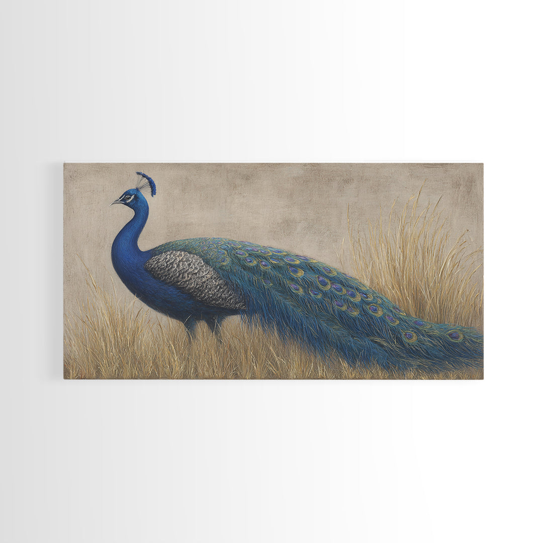 Peacock with Jewel Tone Feather Pattern Framed Canvas Print, Bird Art, Fine Art Print, Living Room Decor, Oil Painting, Flight, BIR-2x1-27
