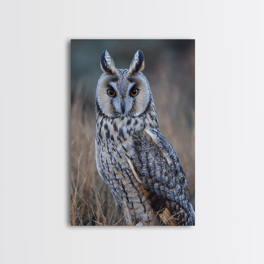 Owl Portrait with Wise Golden Eyes Framed Canvas Print, Bird Art, Digital Prints, Living Room Decor, Fine Art, Flight, BIR-2x3-37