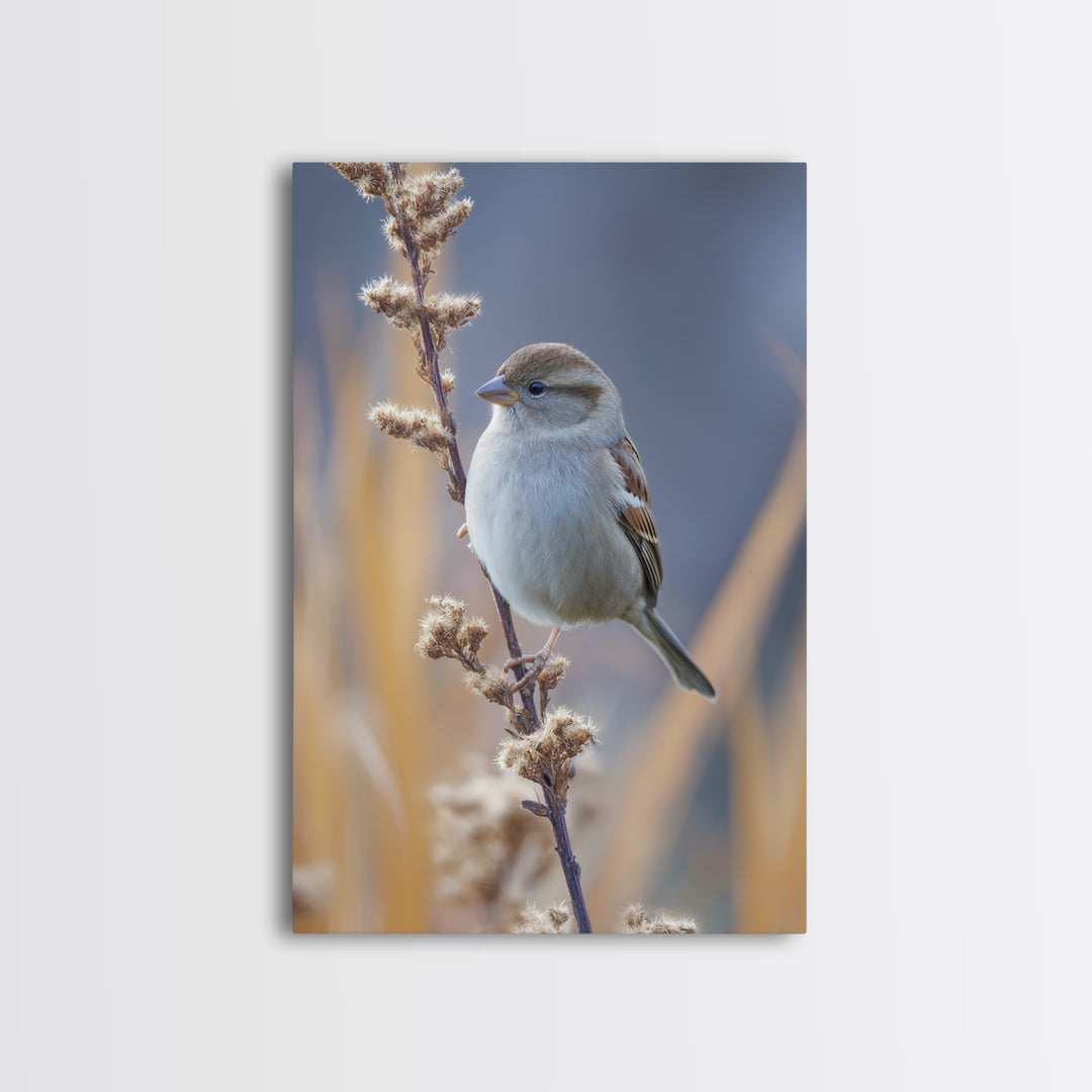 Small Sparrow on Wildflower Stem Framed Canvas Print, Bird Art, Textured Painting, Living Room Decor, Fine Art, Flight, BIR-2x3-46