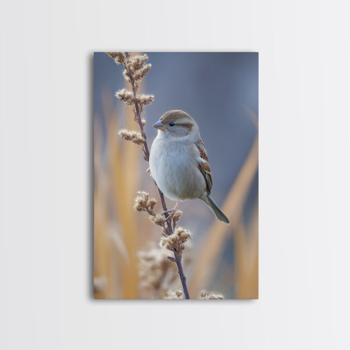 Small Sparrow on Wildflower Stem Framed Canvas Print, Bird Art, Textured Painting, Living Room Decor, Fine Art, Flight, BIR-2x3-46