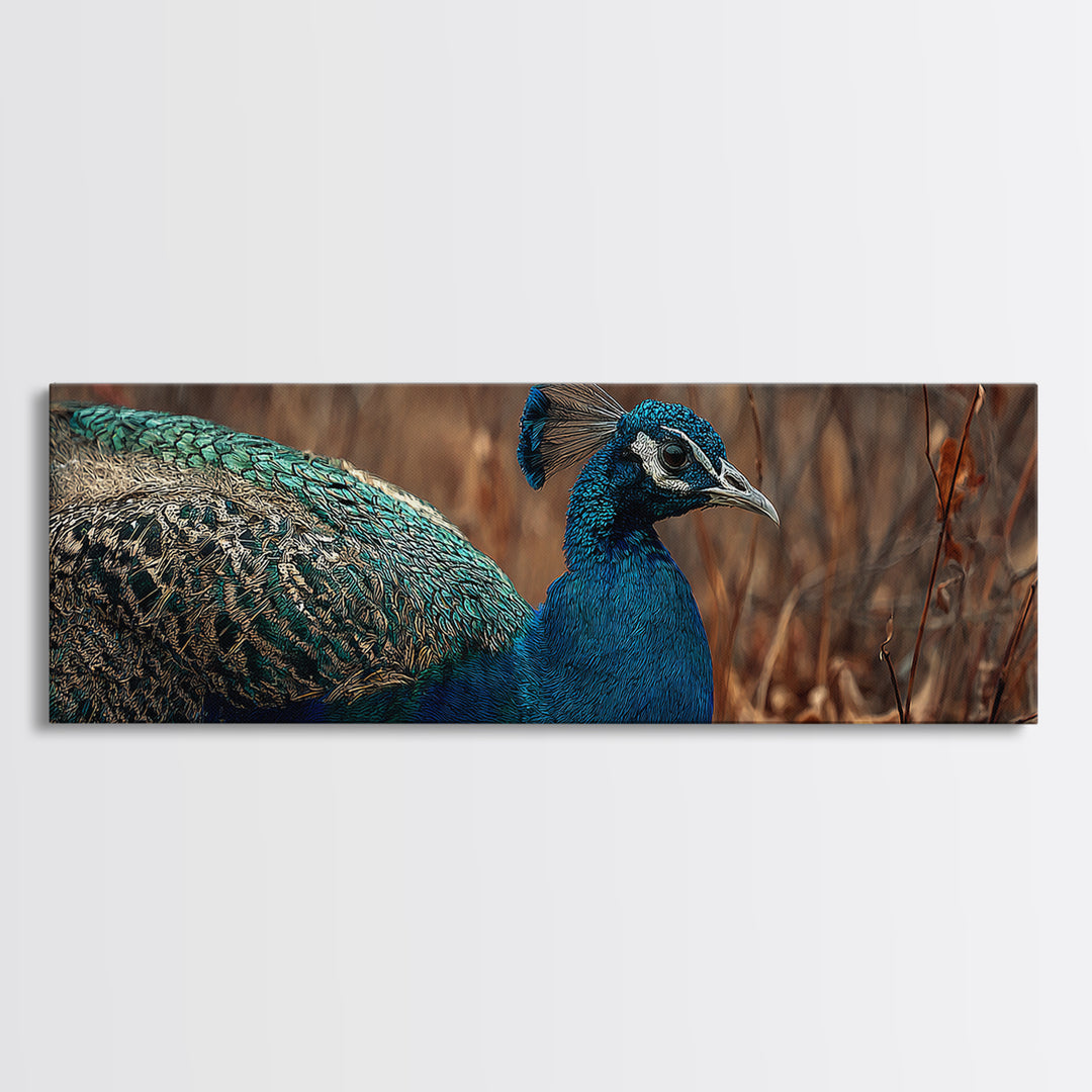 Peacock with Jewel Tone Feather Pattern Canvas Print, Bird Art, Printable Art, Living Room Decor, Flight, Mid Century Wall Art, BIR-3x1-71