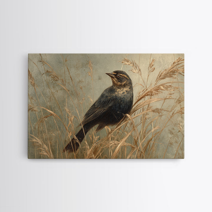Blackbird on Gold Wheat Field Framed Canvas Print, Bird Art, Fine Art Print, Living Room Decor, Oil Painting, Flight, BIR-3x2-100