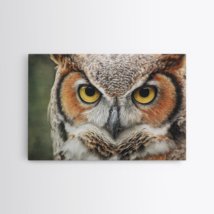 Owl Portrait with Wise Golden Eyes Canvas Print, Bird Art, Bird Prints, Living Room Decor, Fine Art, Flight, Modern Decor, BIR-3x2-33