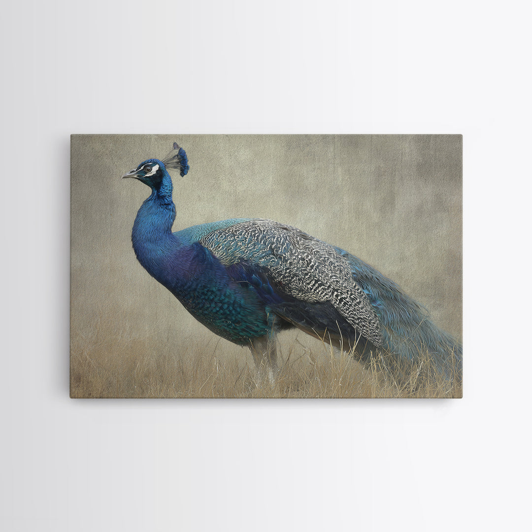 Peacock with Jewel Tone Feather Pattern Framed Canvas Print, Bird Art, Art Print, Living Room Decor, Oil Painting, Flight, BIR-3x2-59
