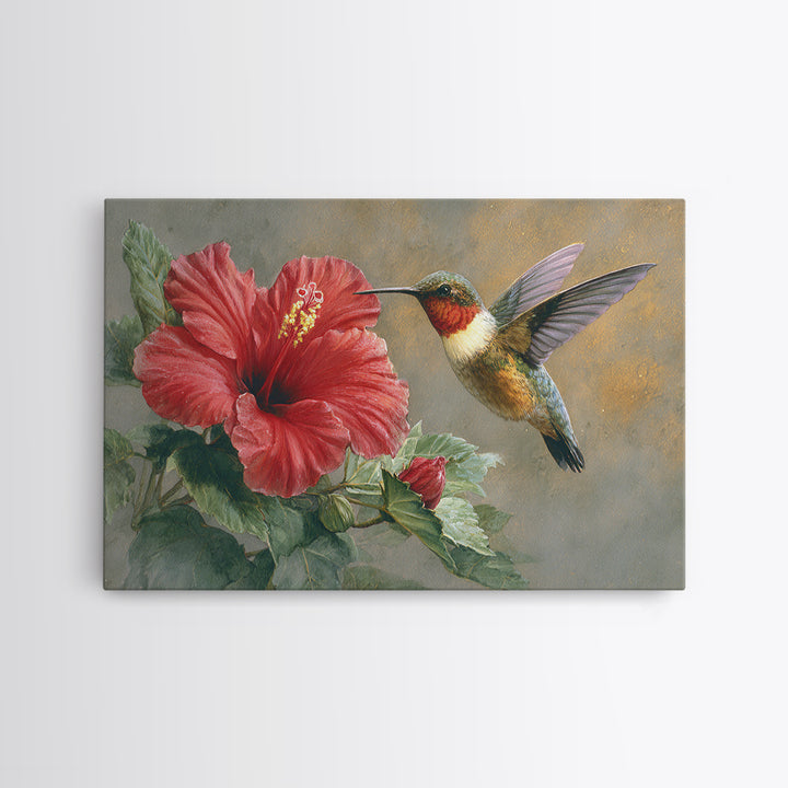 Hummingbird Hovering Beside Bright Hibiscus Framed Canvas Print, Bird Art, Watercolor Painting, Living Room Decor, Oil Painting, BIR-3x2-8