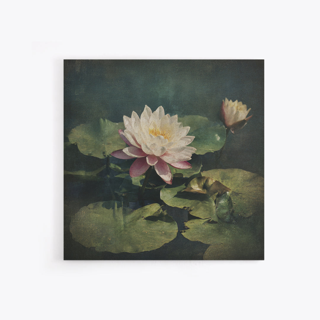 Lotus Flower and Lily Pads on Still Canvas Print, Botanical Art, Framed Wall Art, Living Room Decor, Fine Art, Botanic, BOT-1x1-19