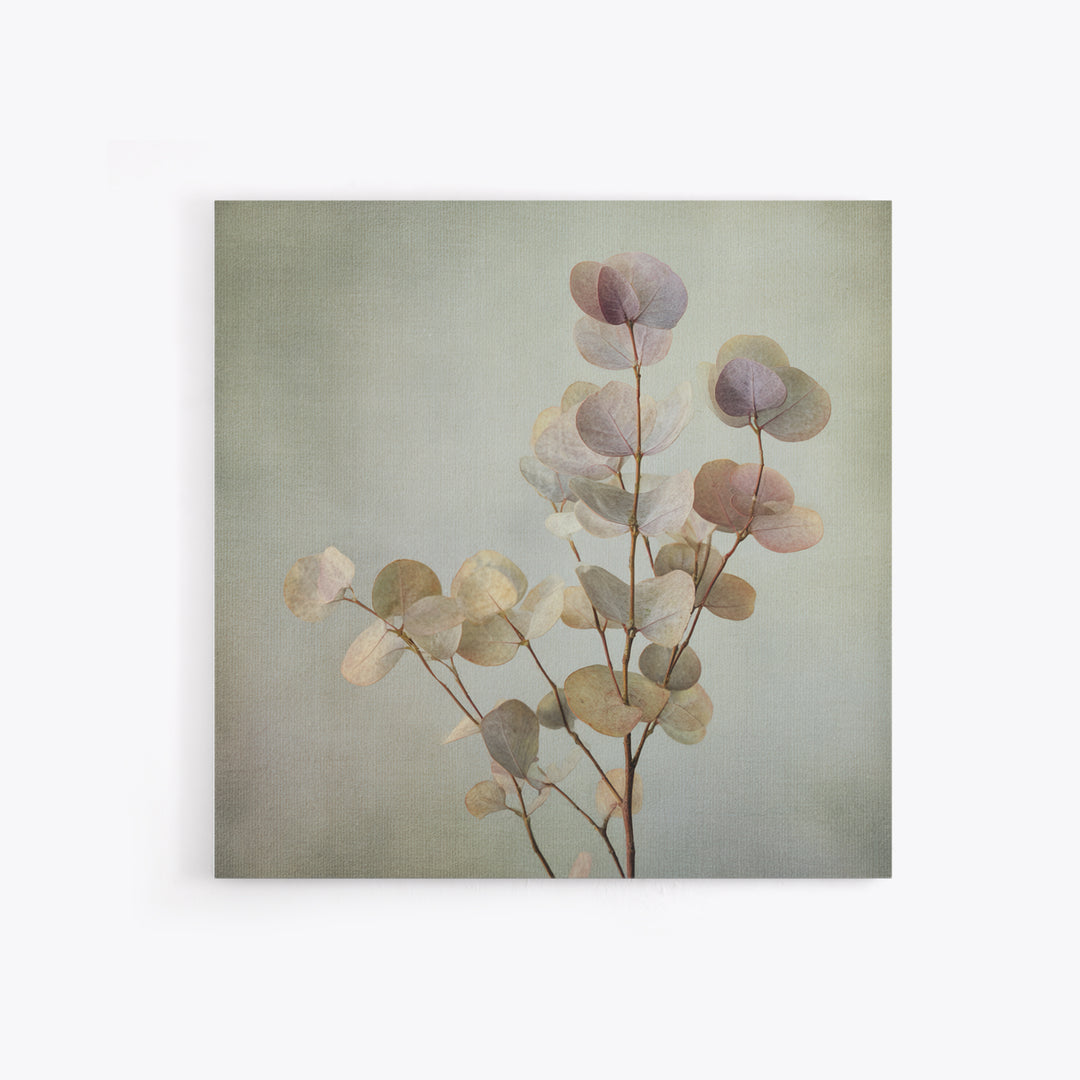 Eucalyptus Stems in Soft Sage Tones Canvas Print, Botanical Art, Gallery Decor, Living Room Decor, Fine Art, Botanic, BOT-1x1-59