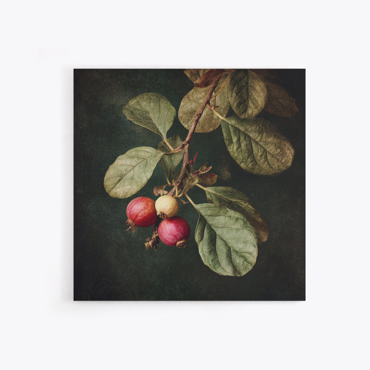 Fig Branch with Fruit and Broad Leaves Framed Canvas Print, Botanical Art, Neutral Decor, Living Room Decor, Oil Painting, BOT-1x1-63