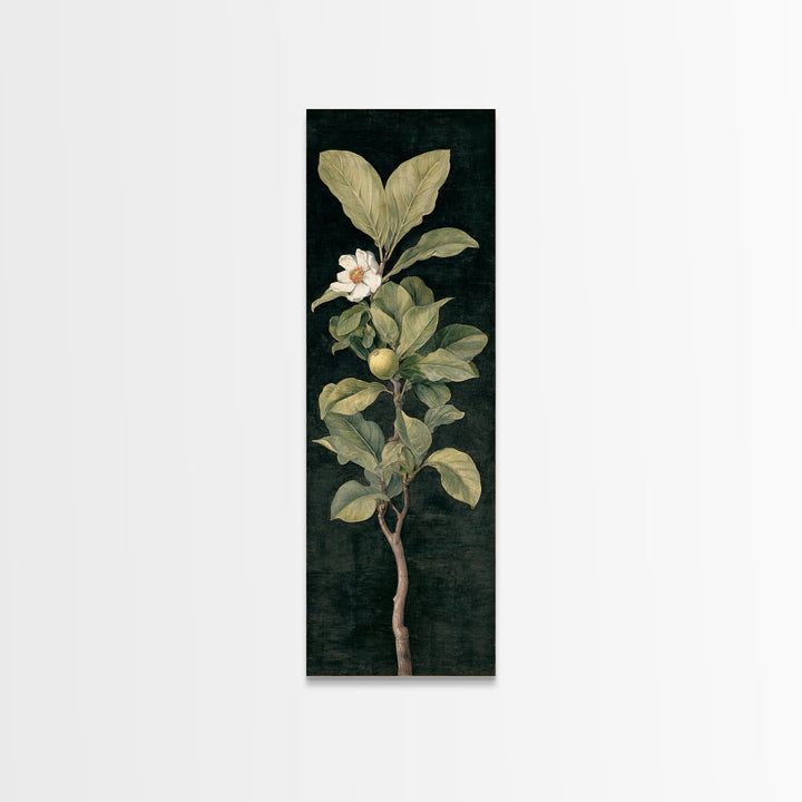 Fig Branch with Fruit and Broad Leaves Canvas Print, Botanical Art, Modern Wall Art, Living Room Decor, Fine Art, Botanic, BOT-1x3-51