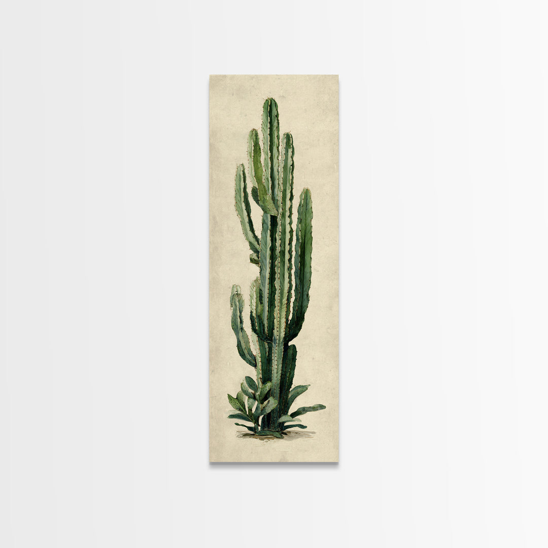 Cactus Botanical Plate Canvas Print, Botanical Art, Digital Wall Art, Living Room Decor, Oil Painting, Botanic, BOT-1x3-73