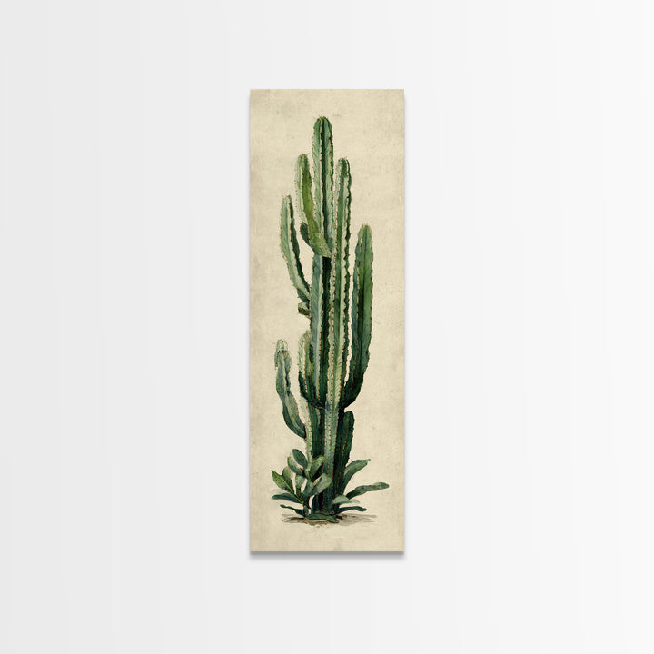 Cactus Botanical Plate Canvas Print, Botanical Art, Digital Wall Art, Living Room Decor, Oil Painting, Botanic, BOT-1x3-73