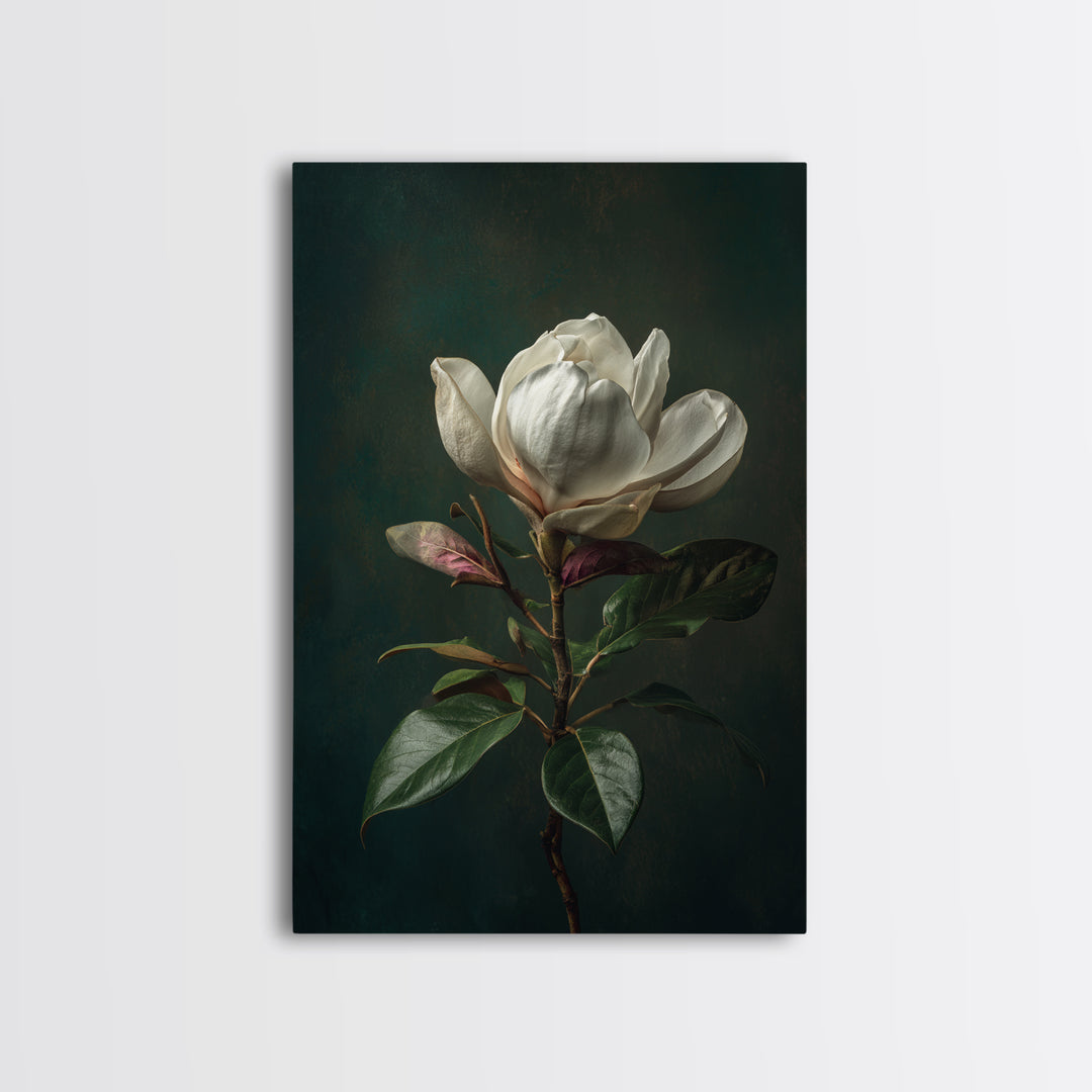 Dramatic White Magnolia on Dark Background Canvas Print, Botanical Art, Wall Art, Living Room Decor, Watercolor Art, Botanic, BOT-2x3-14