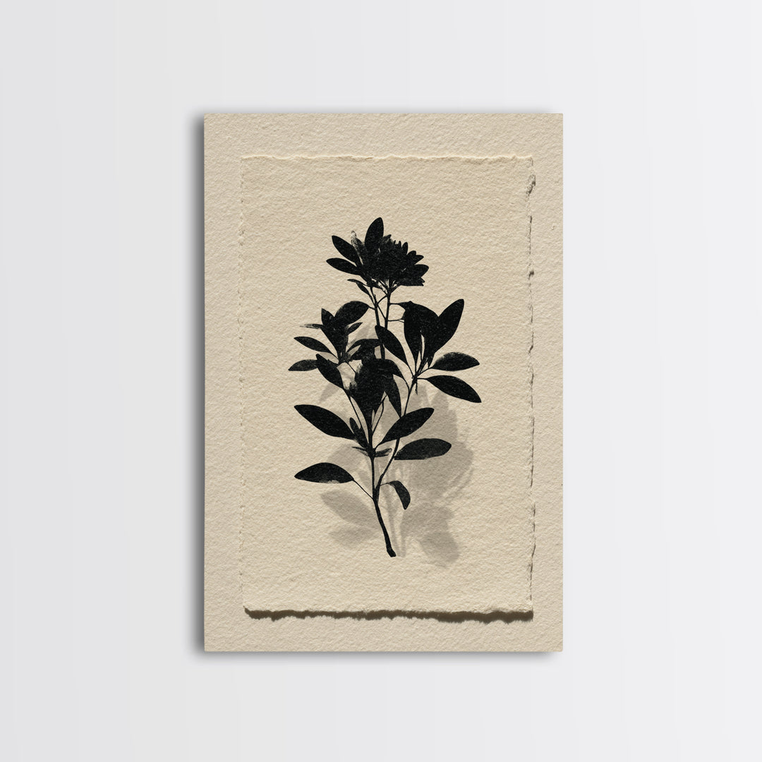 Black Ink Botanical Silhouette on Cream Paper Canvas Print, Botanical Art, Living Room Decor, Watercolor Art, Botanic, BOT-2x3-29