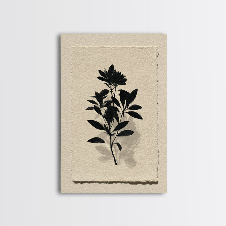 Black Ink Botanical Silhouette on Cream Paper Canvas Print, Botanical Art, Living Room Decor, Watercolor Art, Botanic, BOT-2x3-29