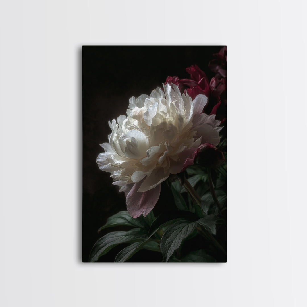 Peony Bloom with Layered Romantic Petals Framed Canvas Print, Botanical Art, Home Decor, Living Room Decor, Fine Art, Botanic, BOT-2x3-42