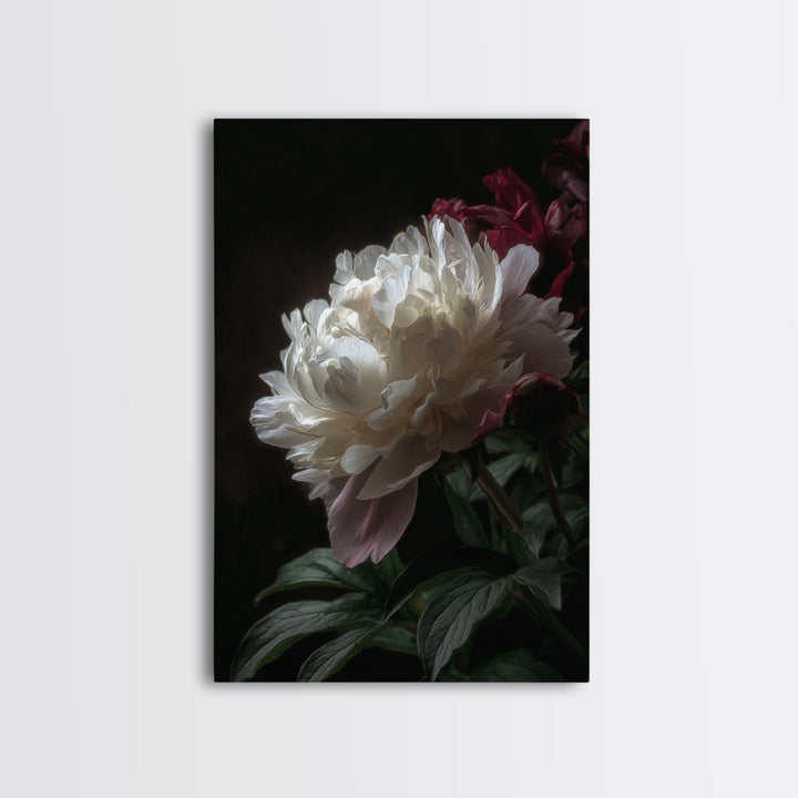 Peony Bloom with Layered Romantic Petals Framed Canvas Print, Botanical Art, Home Decor, Living Room Decor, Fine Art, Botanic, BOT-2x3-42