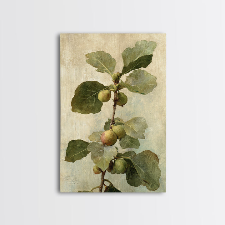 Fig Branch with Fruit and Broad Leaves Framed Canvas Print, Botanical Art, Oil Painting, Living Room Decor, Fine Art, Botanic, BOT-2x3-47