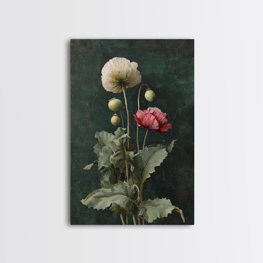 Poppy Field Botanical Study Framed Canvas Print, Botanical Art, Printable Art, Living Room Decor, Watercolor Art, Botanic, BOT-2x3-73