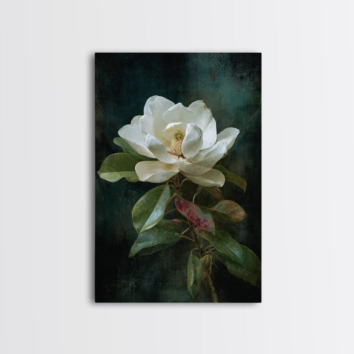 Dramatic White Magnolia on Dark Background Canvas Print, Botanical Art, Oil Painting, Living Room Decor, Fine Art, Botanic, BOT-2x3-86