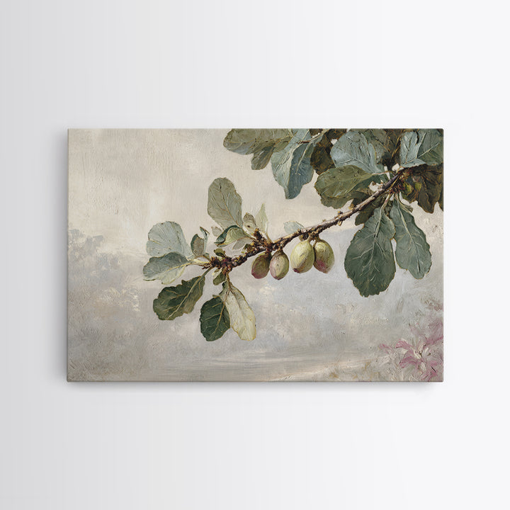 Fig Branch with Fruit and Broad Leaves Framed Canvas Print, Botanical Art, Statement Artwork, Living Room Decor, Botanic, BOT-3x2-19