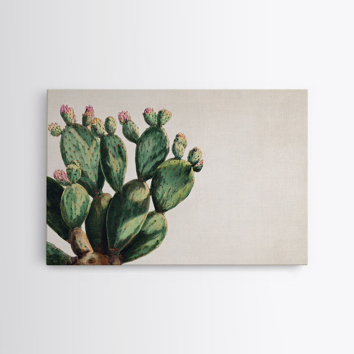 Cactus Botanical Plate Framed Canvas Print, Botanical Art, Living Room Wall Art, Living Room Decor, Fine Art, Botanic, BOT-3x2-65