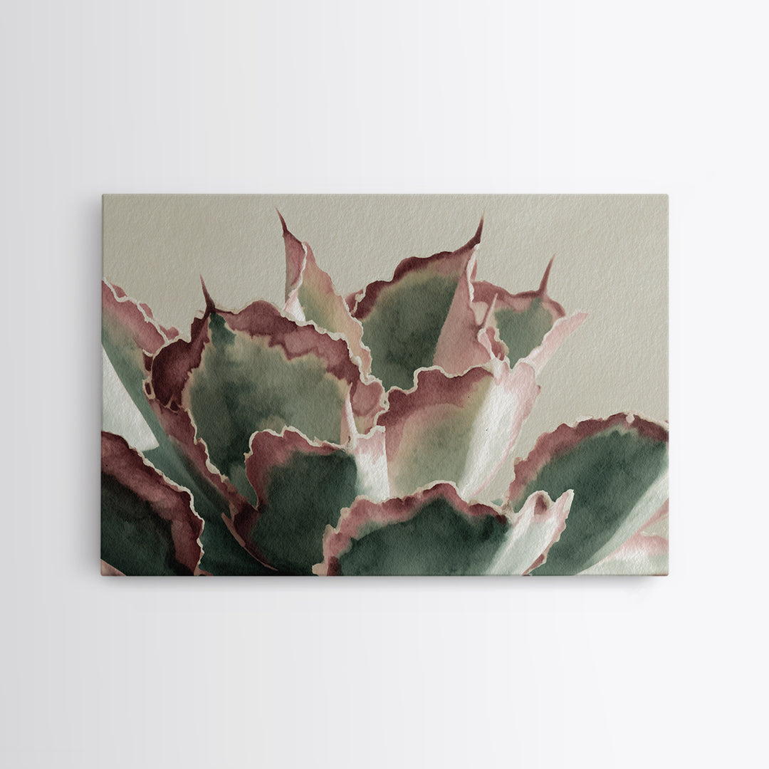 Cactus Botanical Plate Canvas Print, Botanical Art, Boho Decor, Living Room Decor, Fine Art, Botanic, Art Print, Digital Art, BOT-3x2-89